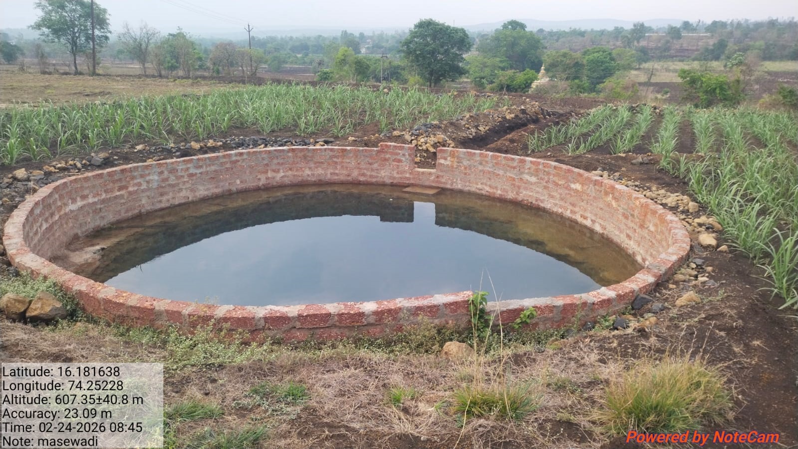 सिचन विहीर